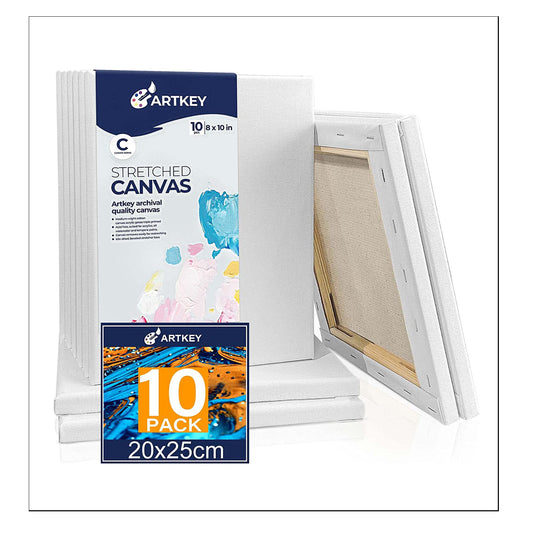 10 oz Triple Primed 8"x10" Acid free Canvases 10-Pack，5/8" Profile